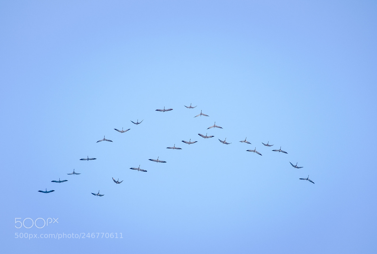 Fujifilm X-T1 sample photo. Upwards photography