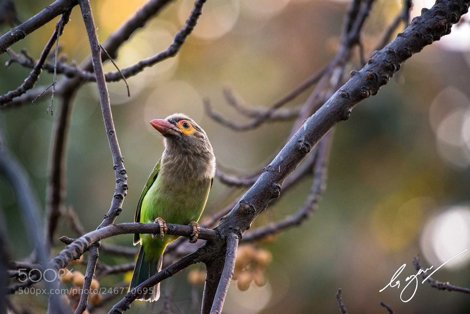 Nikon D800E sample photo. Untitled photography