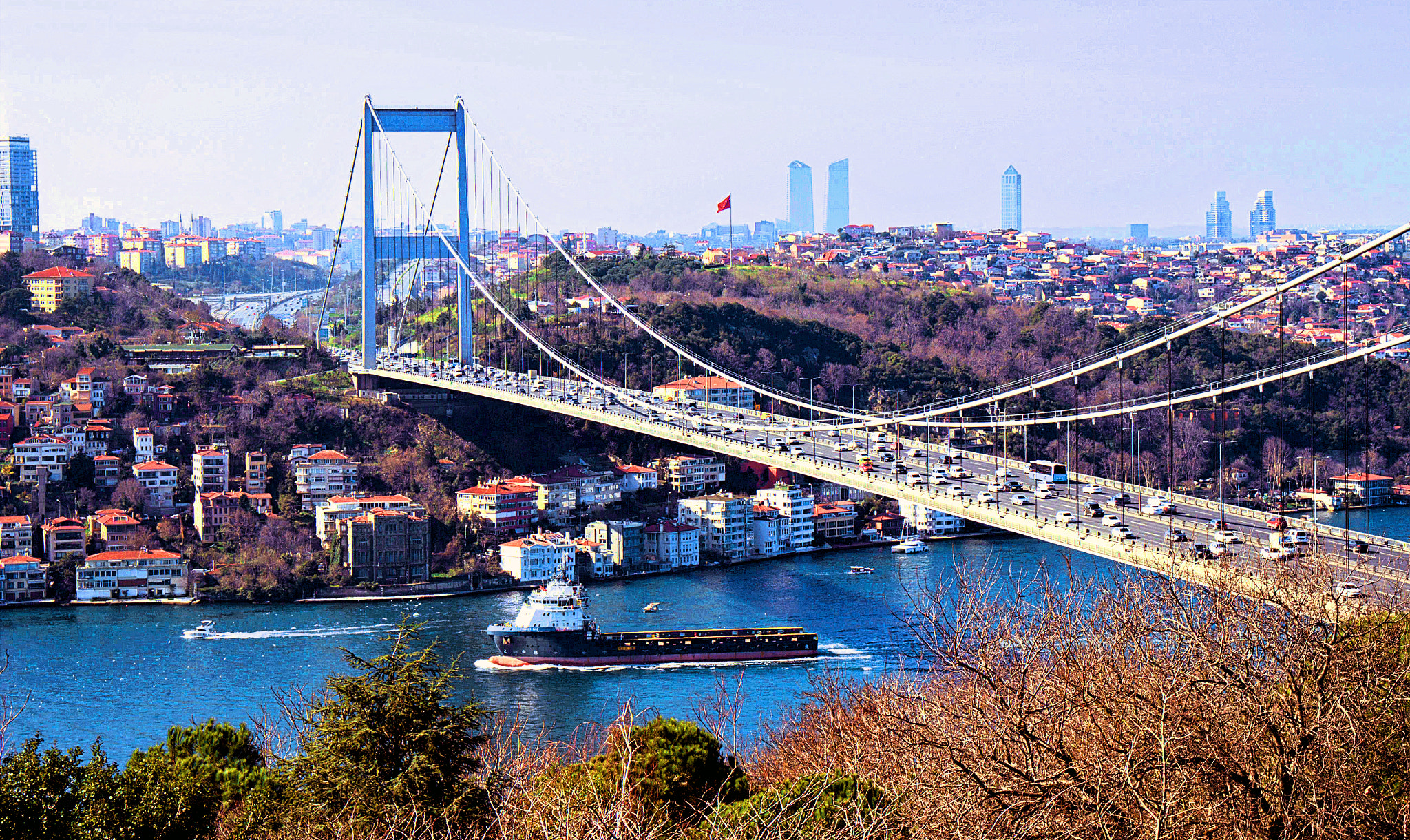 Canon EF-S 18-55mm F4-5.6 IS STM sample photo. Bridge photography