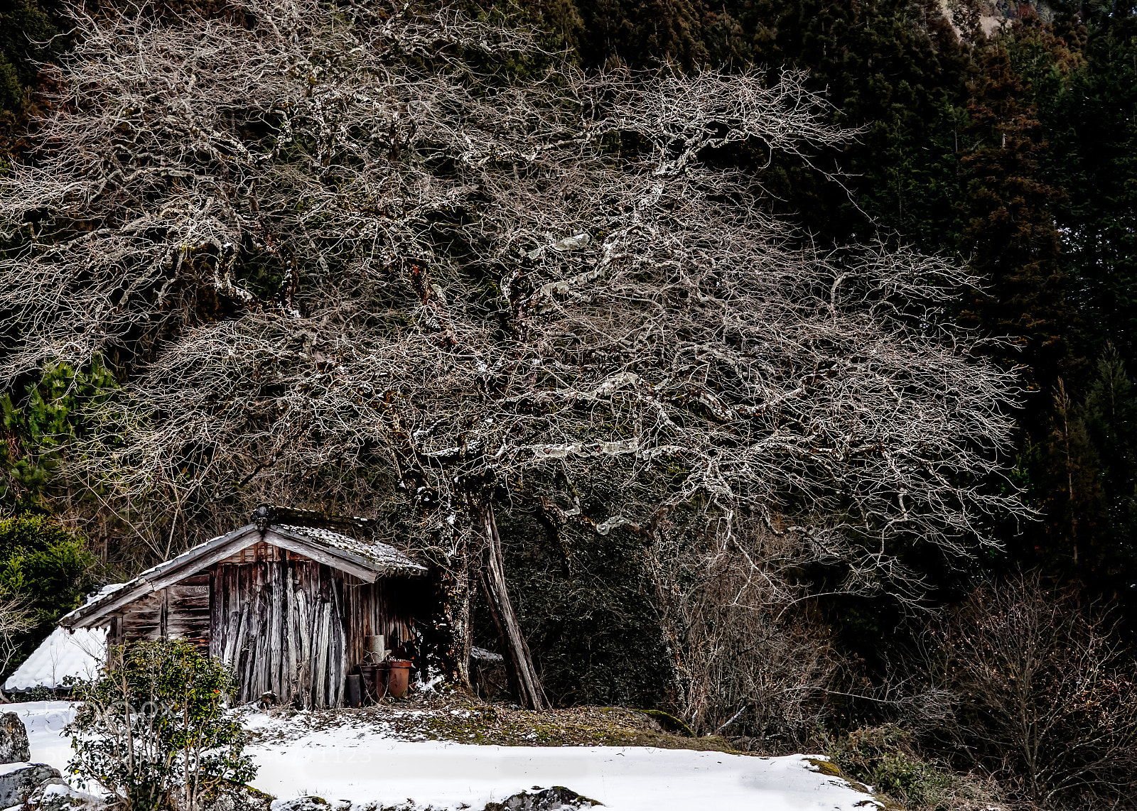 Sony a6300 sample photo. 50 years old photography