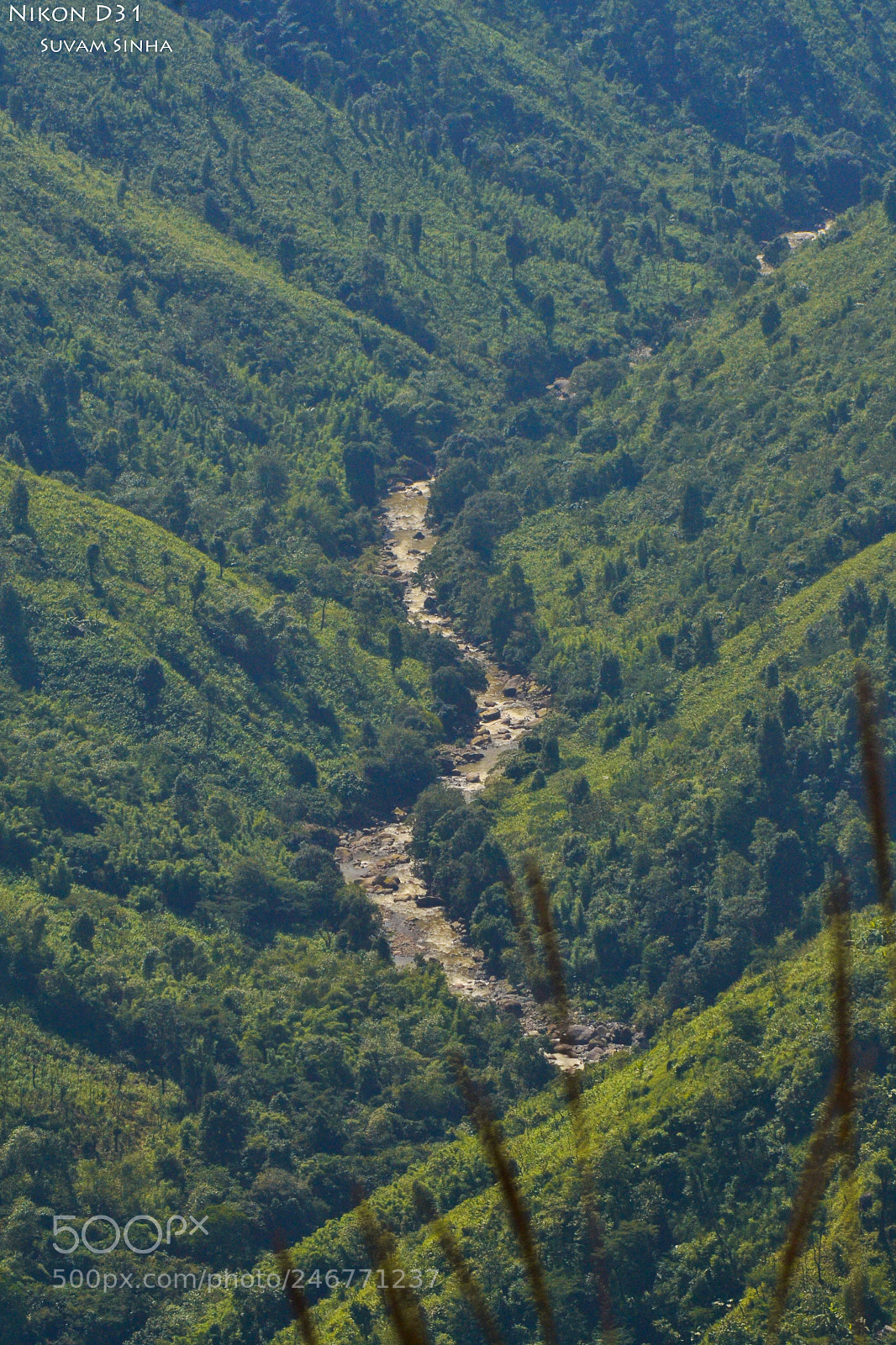 Nikon D3100 sample photo. Untitled photography