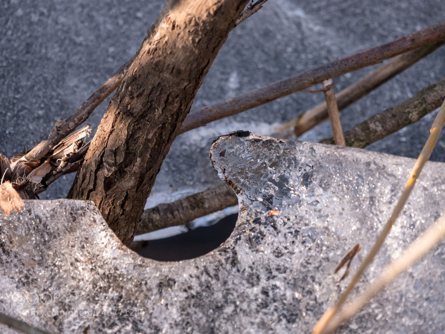 Panasonic Lumix DMC-GX85 (Lumix DMC-GX80 / Lumix DMC-GX7 Mark II) sample photo. Ice and sun photography
