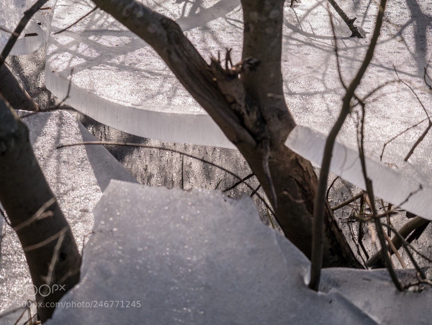 Panasonic Lumix DMC-GX85 (Lumix DMC-GX80 / Lumix DMC-GX7 Mark II) sample photo. Ice and sun photography