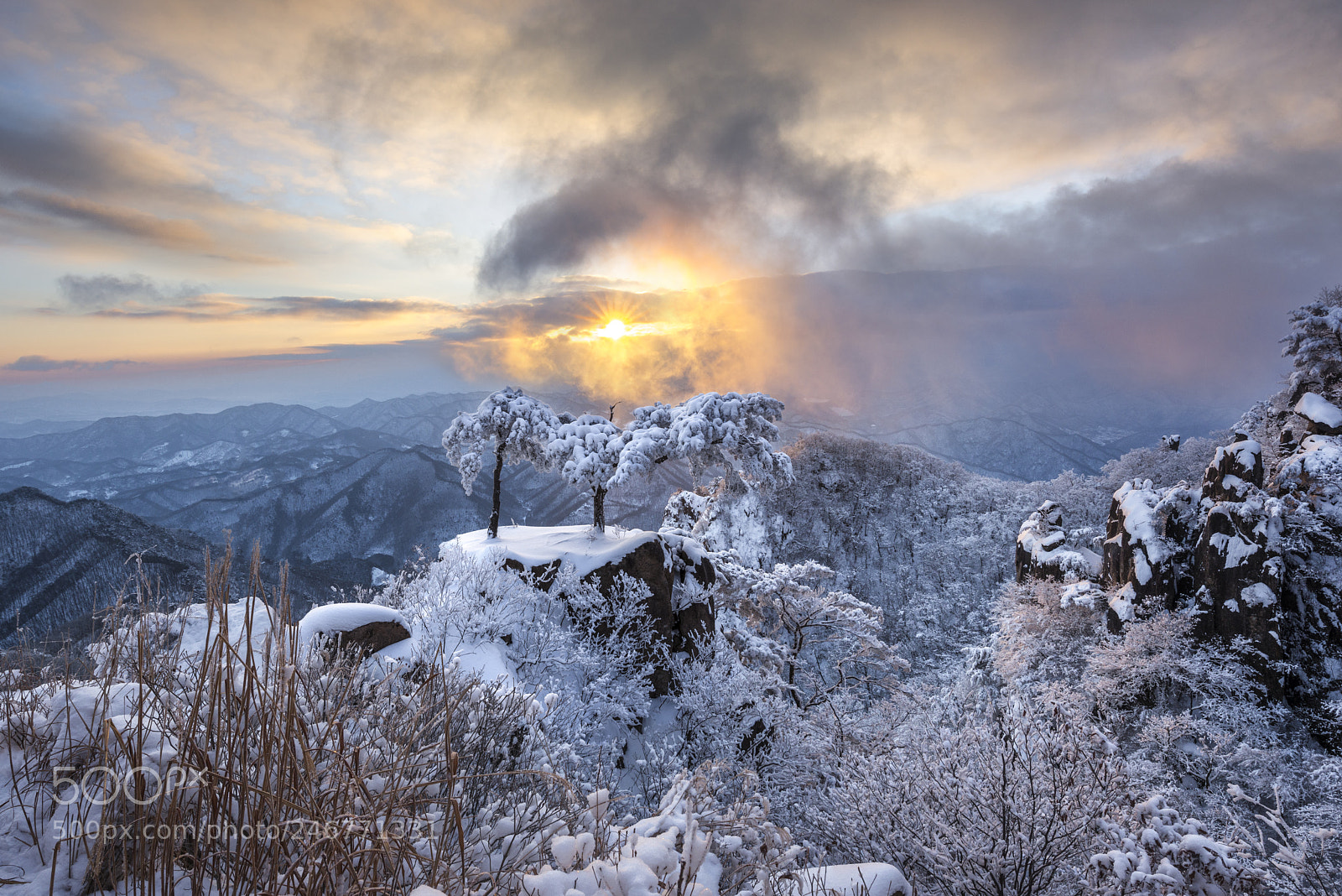 Nikon D810 sample photo. Winter dreaming photography