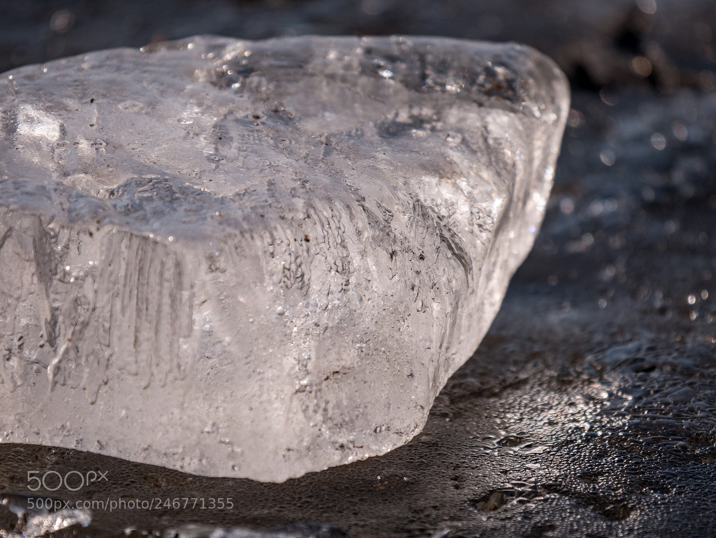 Panasonic Lumix DMC-GX85 (Lumix DMC-GX80 / Lumix DMC-GX7 Mark II) sample photo. The ice is sweating photography