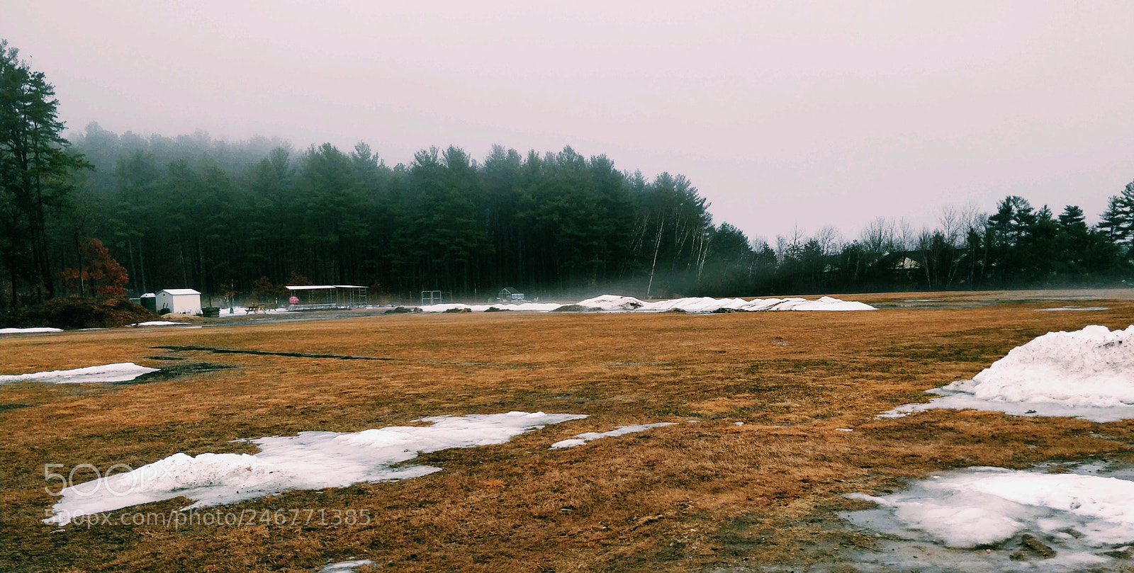 OnePlus 5T sample photo. Untitled photography
