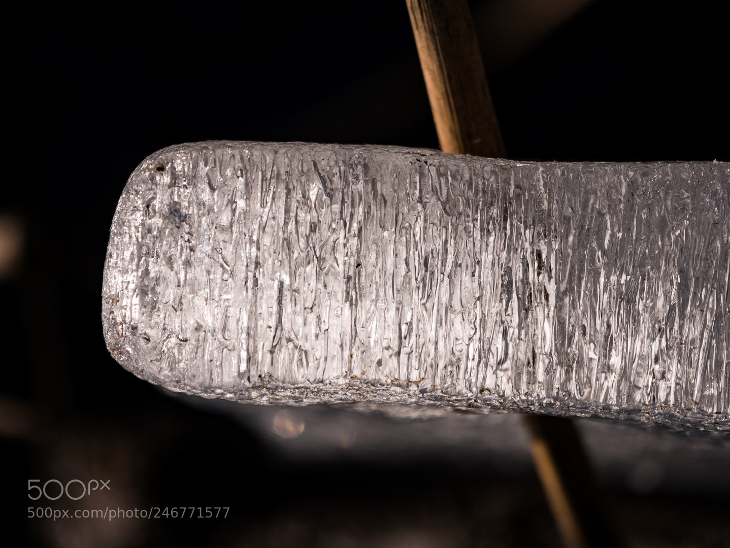 Panasonic Lumix DMC-GX85 (Lumix DMC-GX80 / Lumix DMC-GX7 Mark II) sample photo. Ice and straw photography