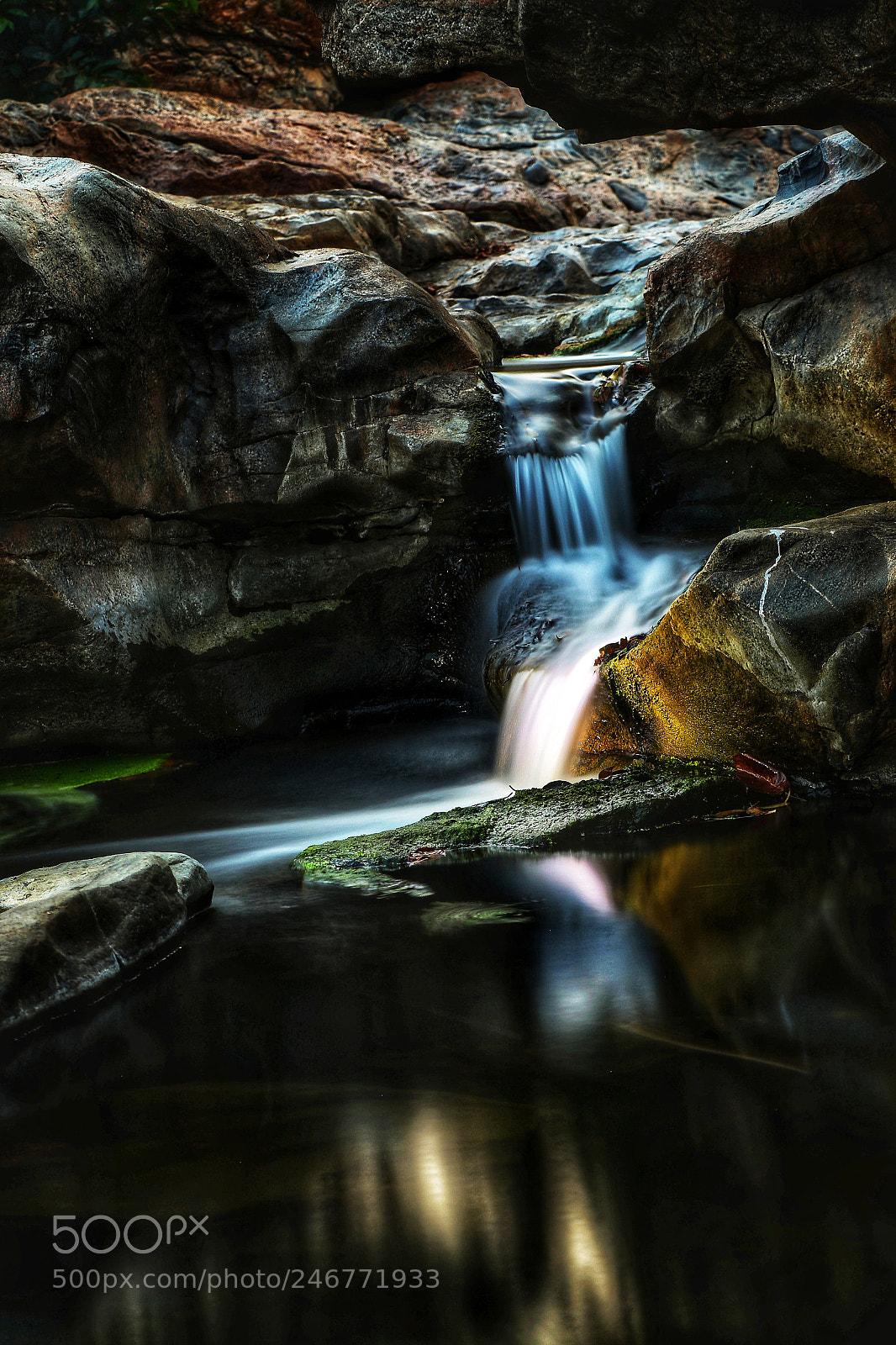 Canon EOS 7D Mark II sample photo. Untitled photography