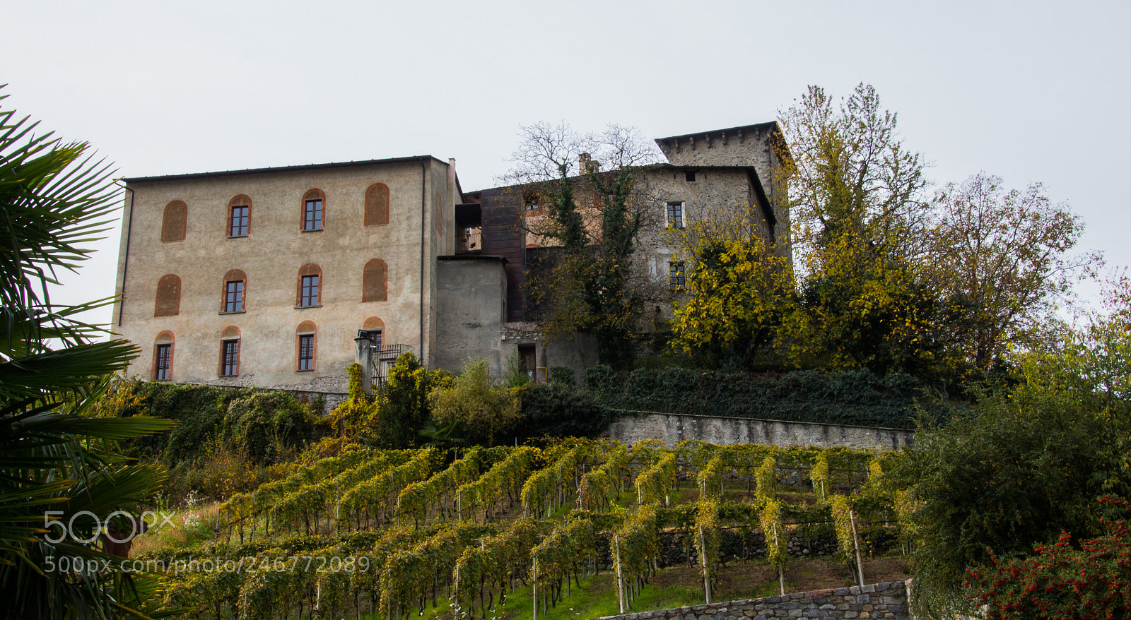 Canon EOS 700D (EOS Rebel T5i / EOS Kiss X7i) sample photo. Masegra castle - sondrio photography