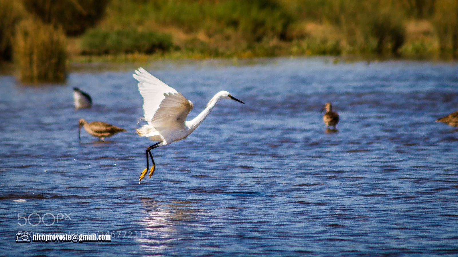 Canon EOS 7D sample photo. Garza photography