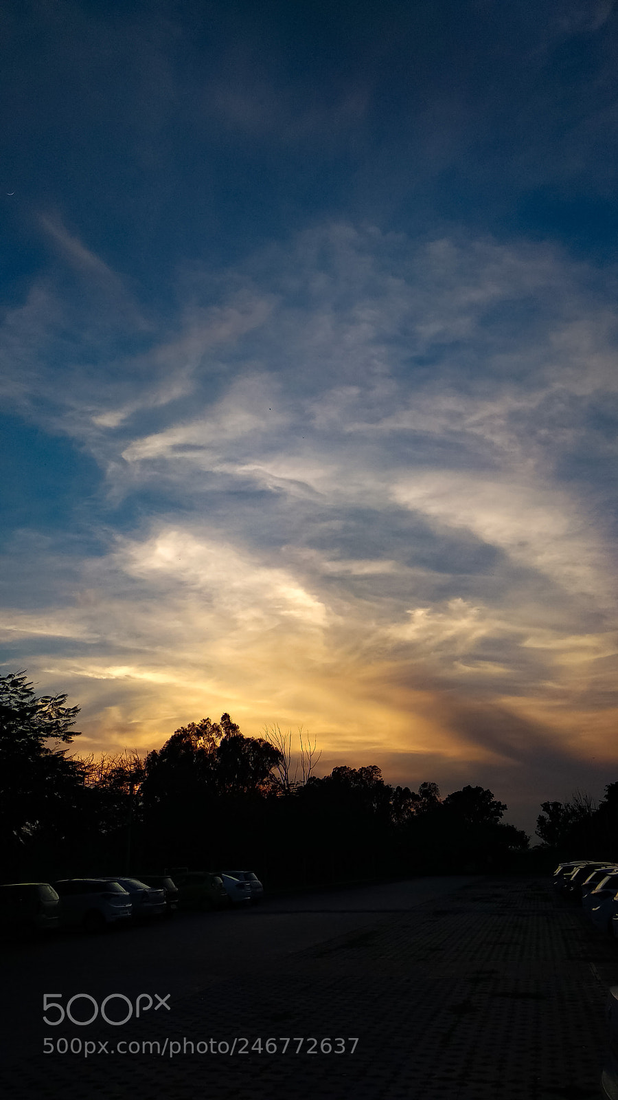 Xiaomi Mi A1 sample photo. Untitled photography
