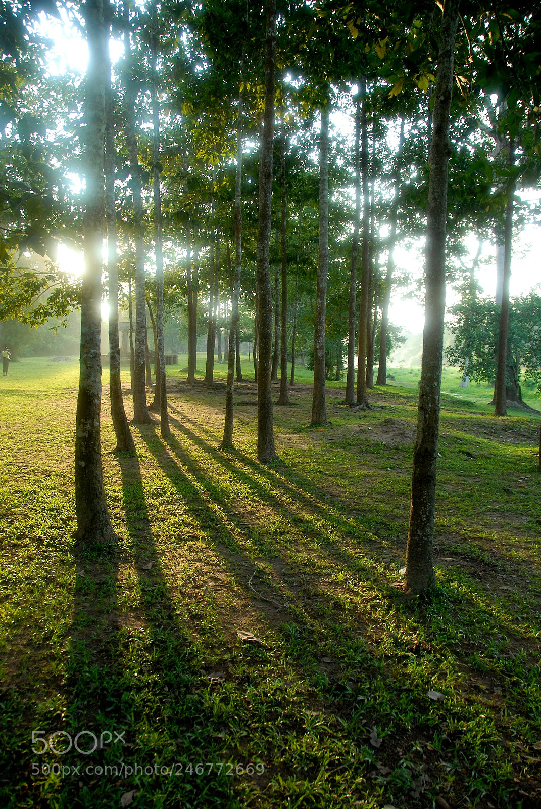 Nikon D200 sample photo. Siem reap, cambodia photography