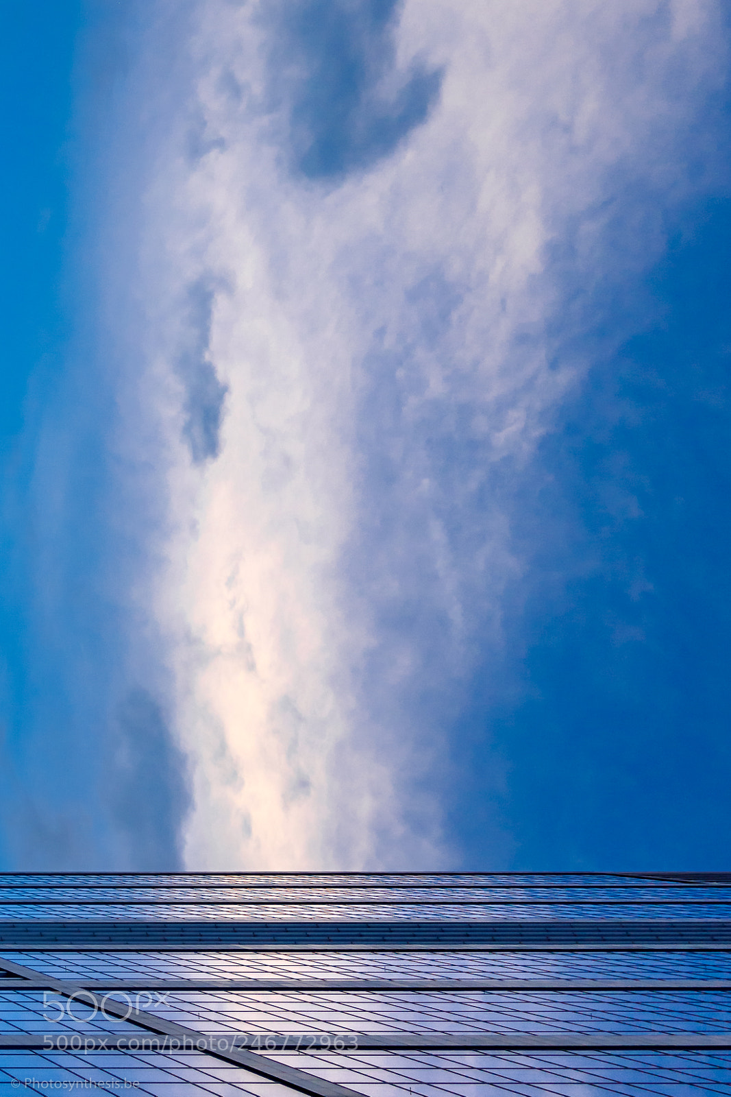 Olympus OM-D E-M10 sample photo. Chaos and order photography