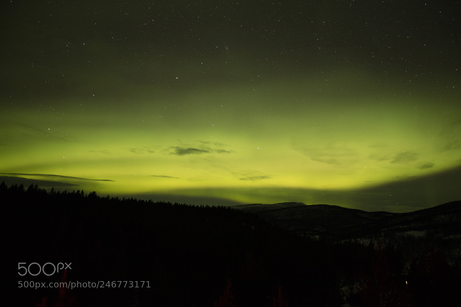 Canon EOS 5DS R sample photo. Aurora photography