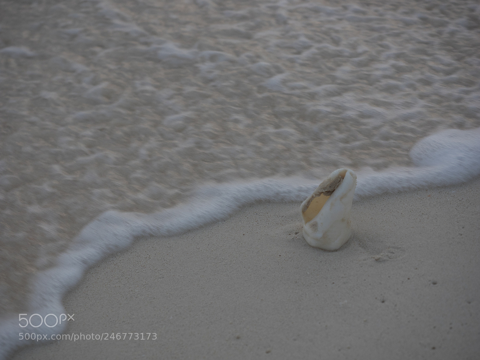 Olympus OM-D E-M1 sample photo. Bhp_scenic_aruba_20160305_3710.jpg photography