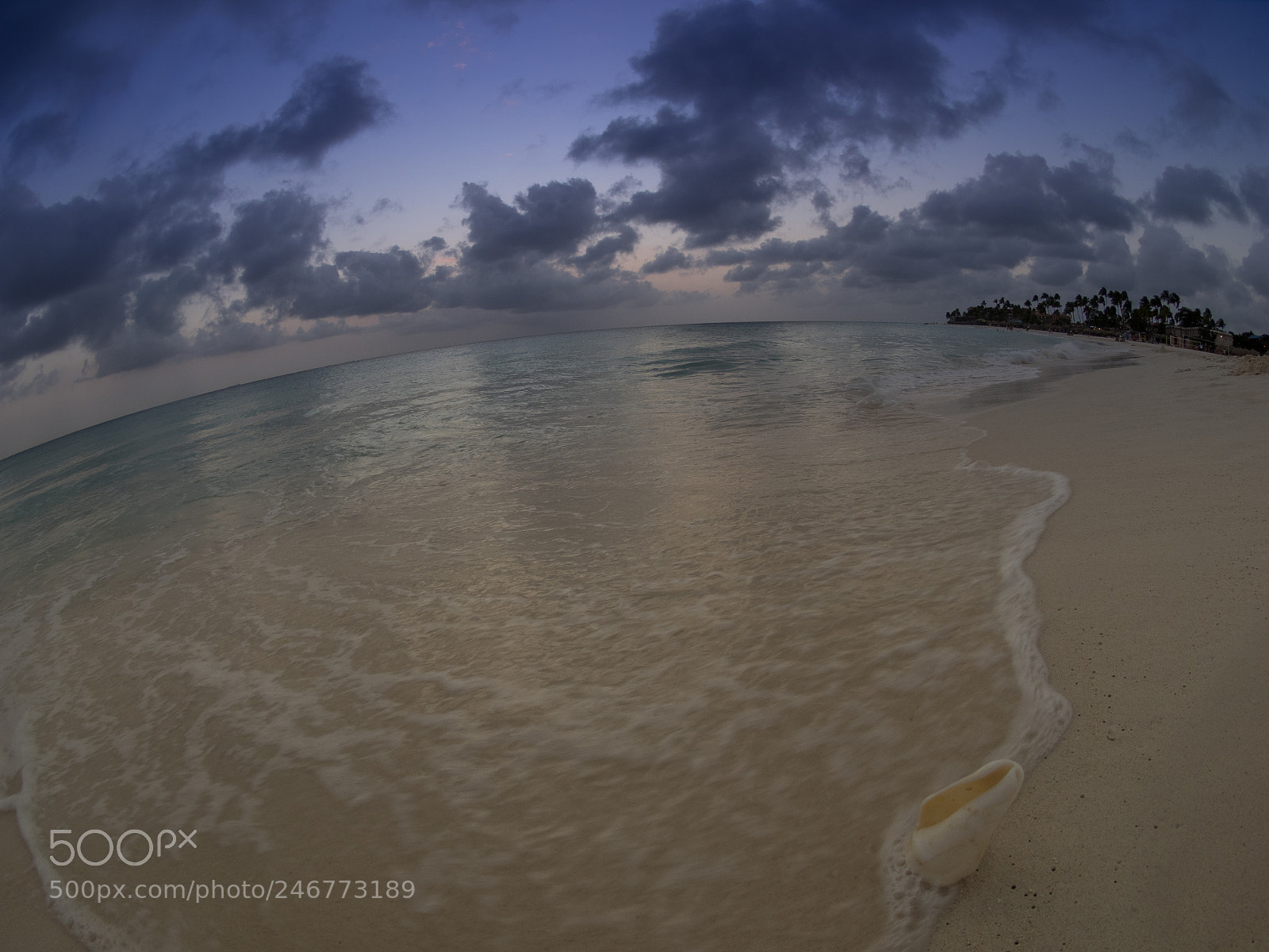 Olympus OM-D E-M1 sample photo. Bhp_scenic_aruba_20160305_3769.jpg photography