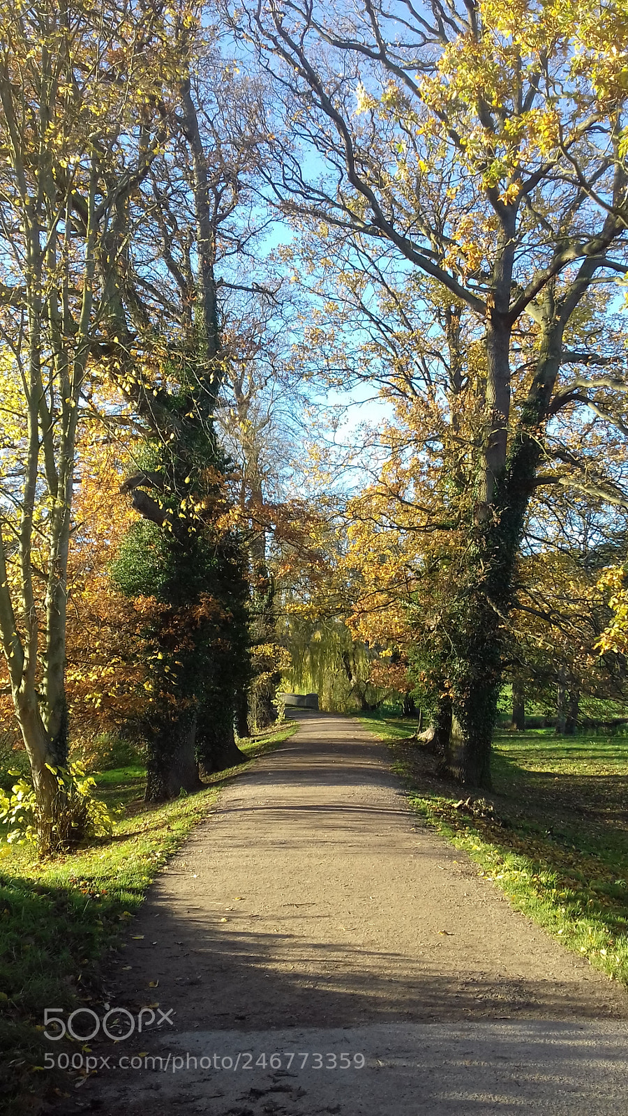 Samsung Galaxy J3(2016) sample photo. The autumnal walk photography