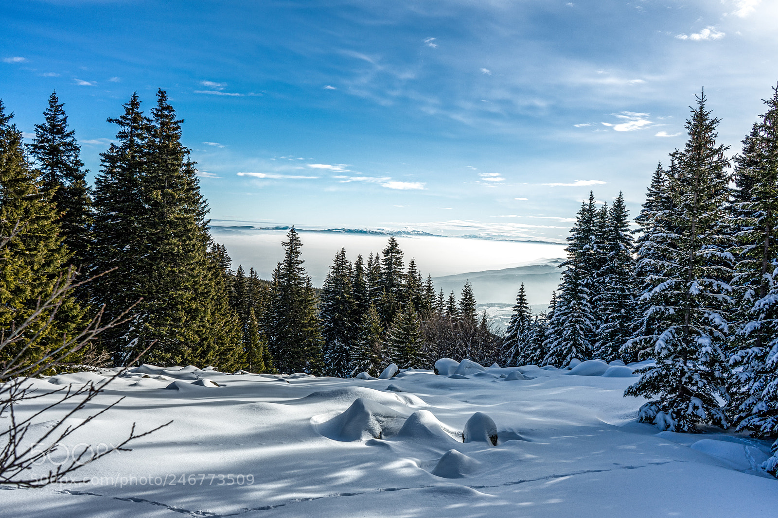 Sony a7 II sample photo. Vitosha mountain - sofia photography
