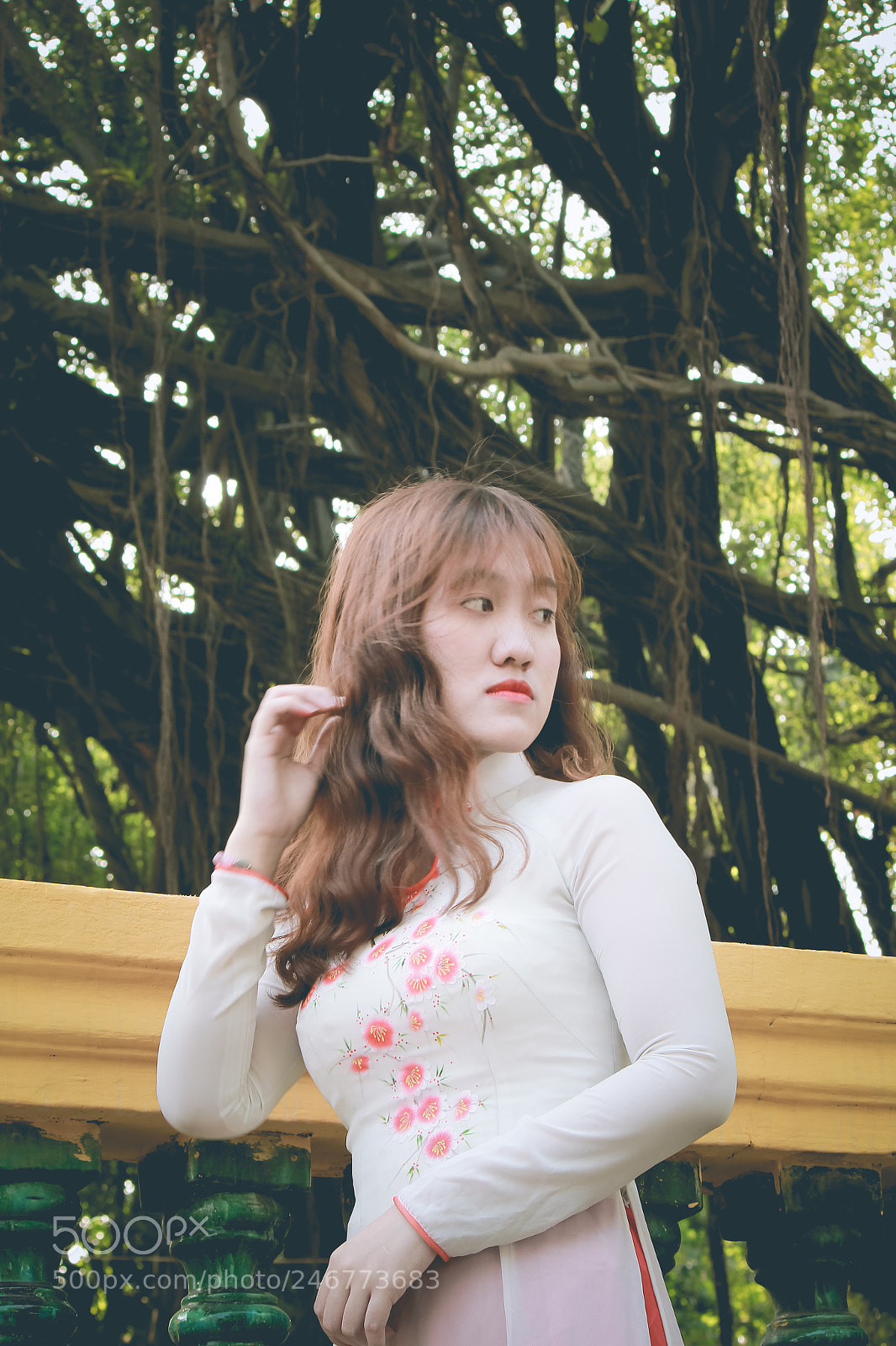 Canon EOS 60D sample photo. Mi le photography