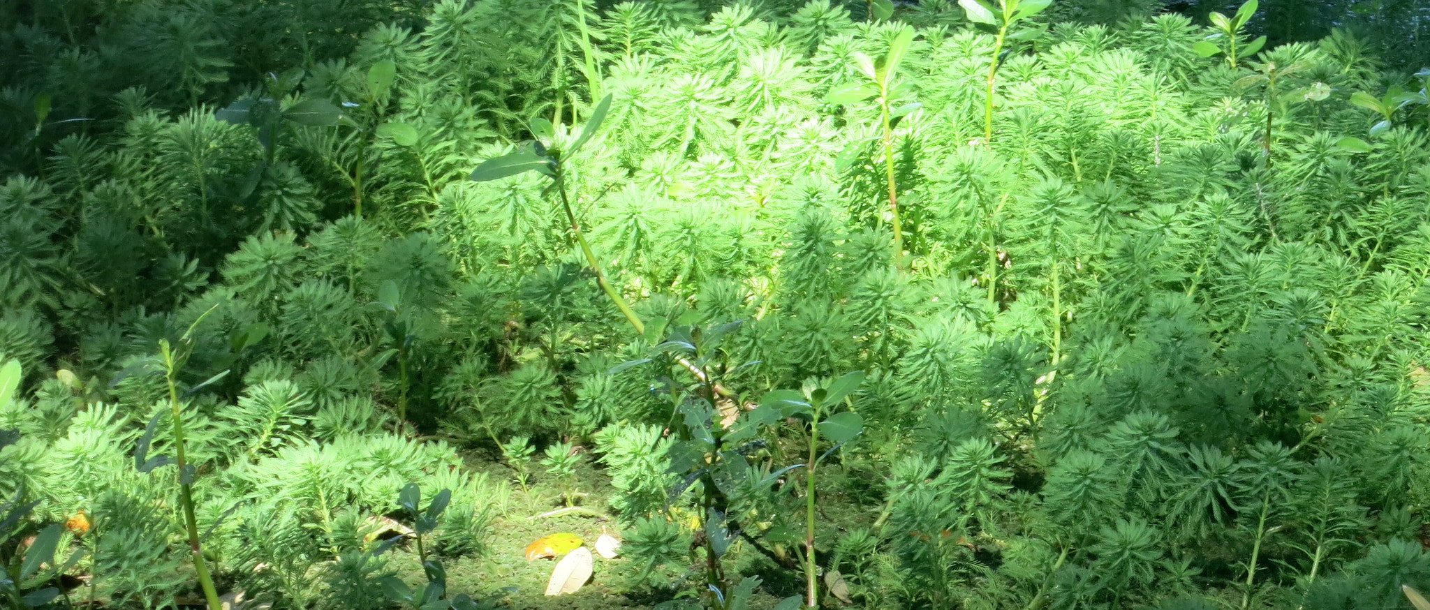 Canon PowerShot S110 sample photo. () photography