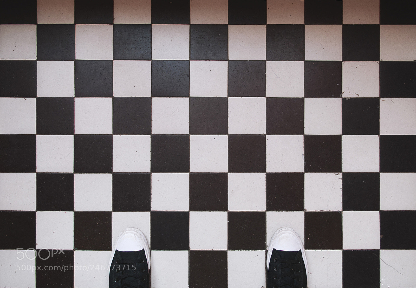 Nikon D300 sample photo. Camouflage photography