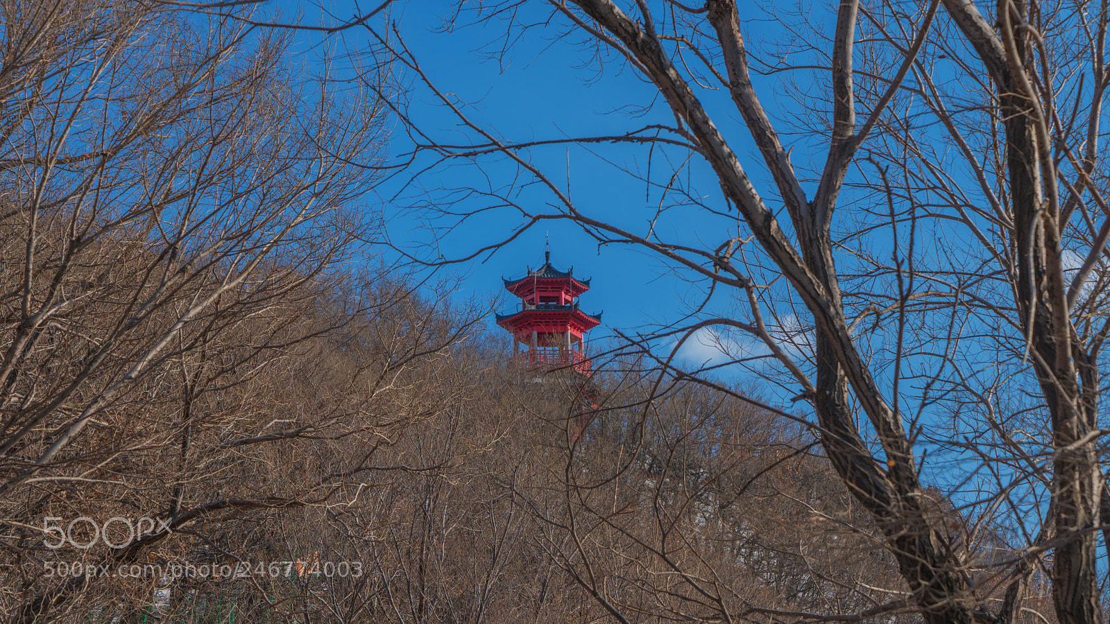 Sony a7R II sample photo. Pavilion photography