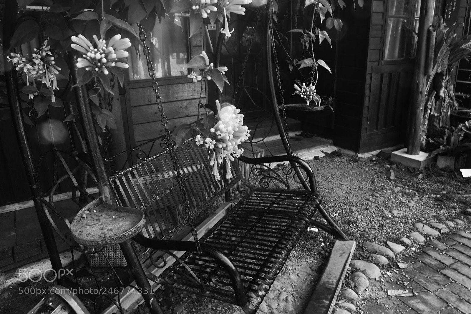 Nikon D500 sample photo. Untitled photography