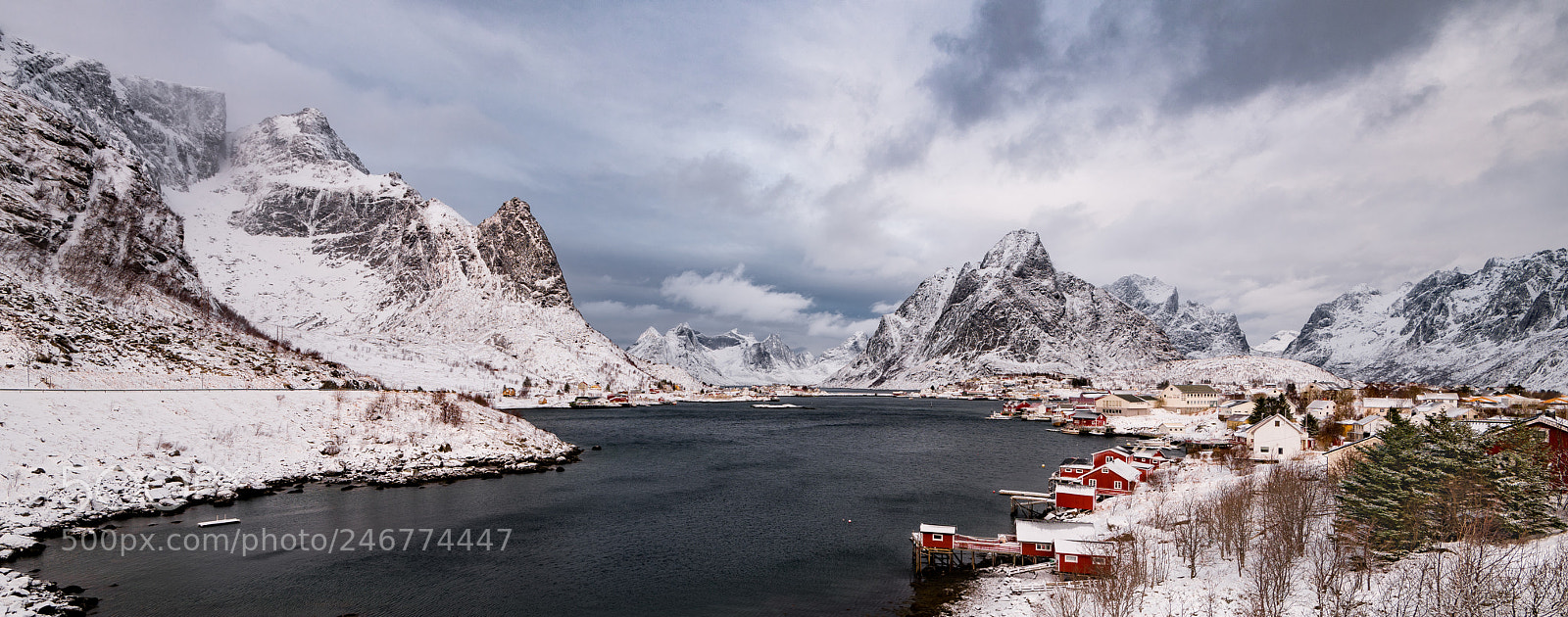 Nikon D810 sample photo. Reine photography