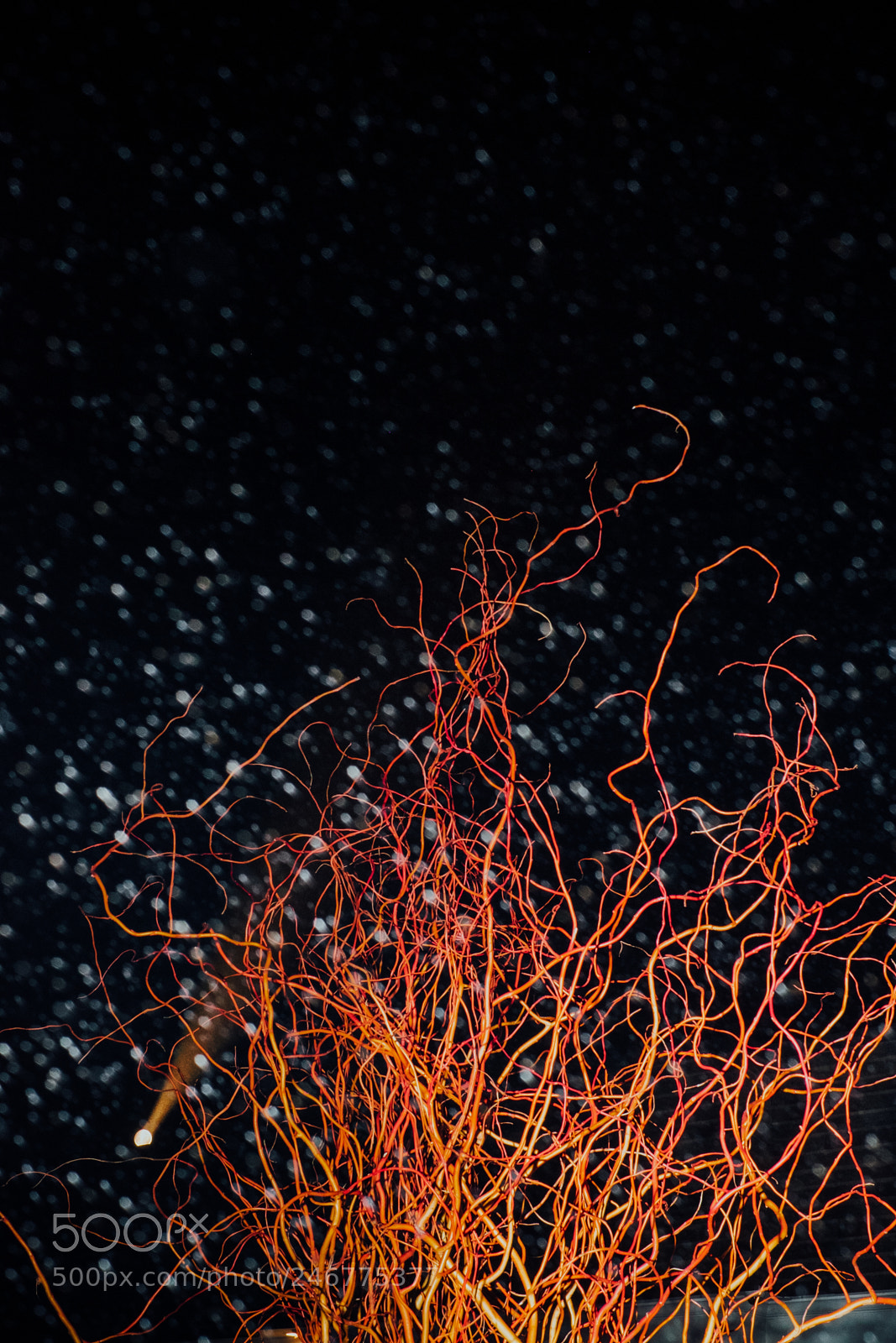 Fujifilm X-T1 sample photo. Sidewalk spaghetti stand by photography