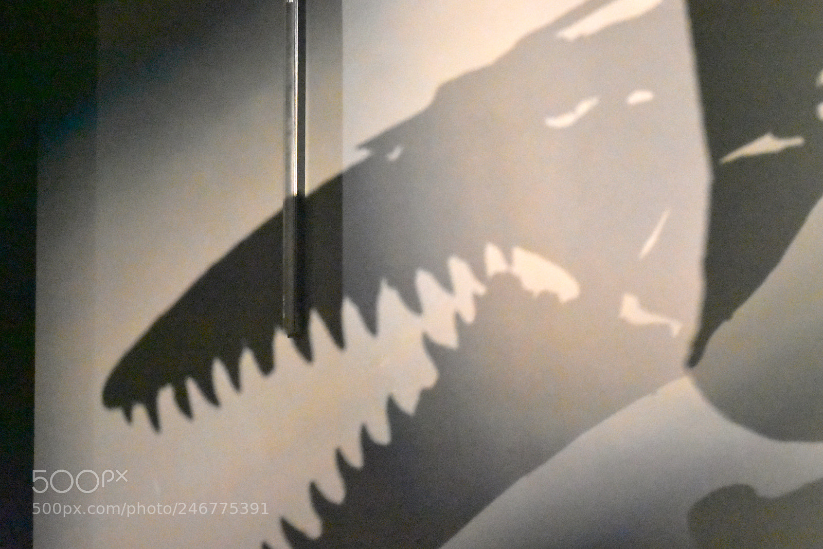 Nikon D7200 sample photo. Life starts when fear photography