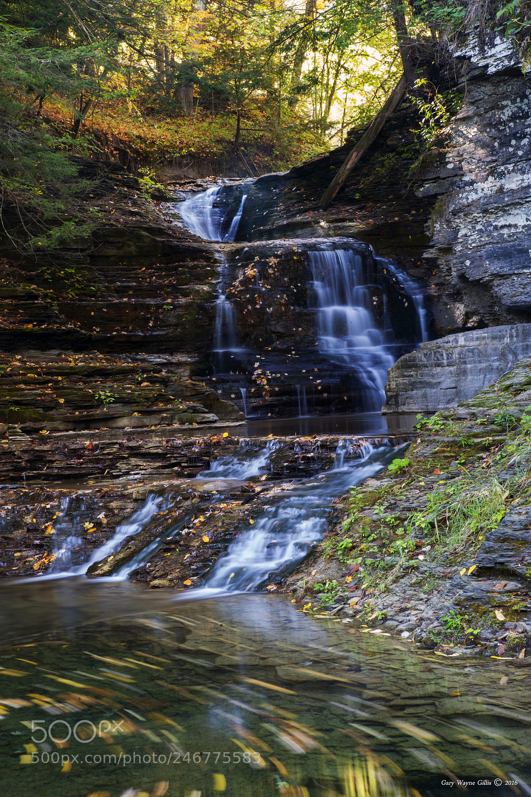 Nikon D700 sample photo. Robert h. treman state photography