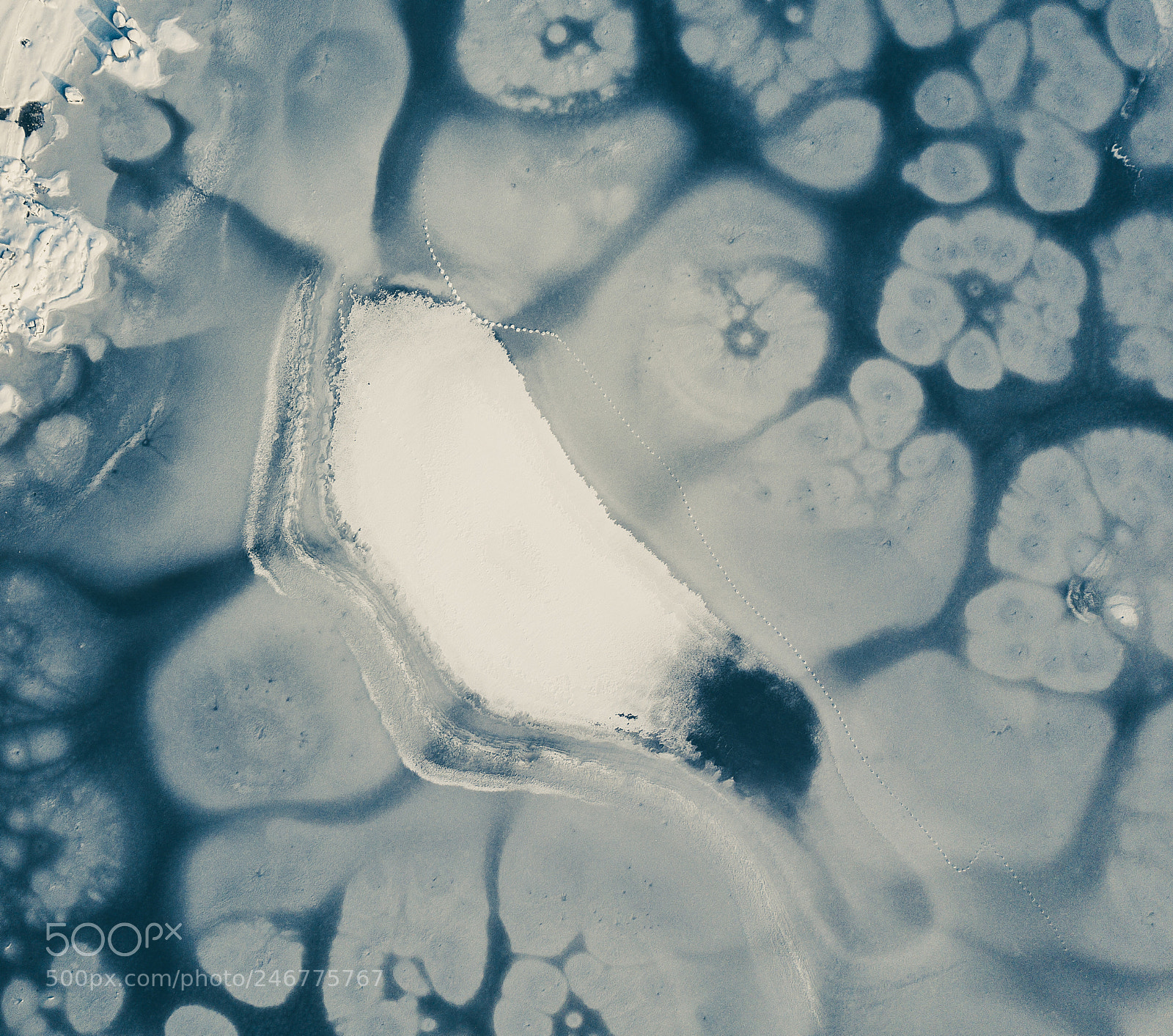 DJI FC220 sample photo. Frozen sea photography