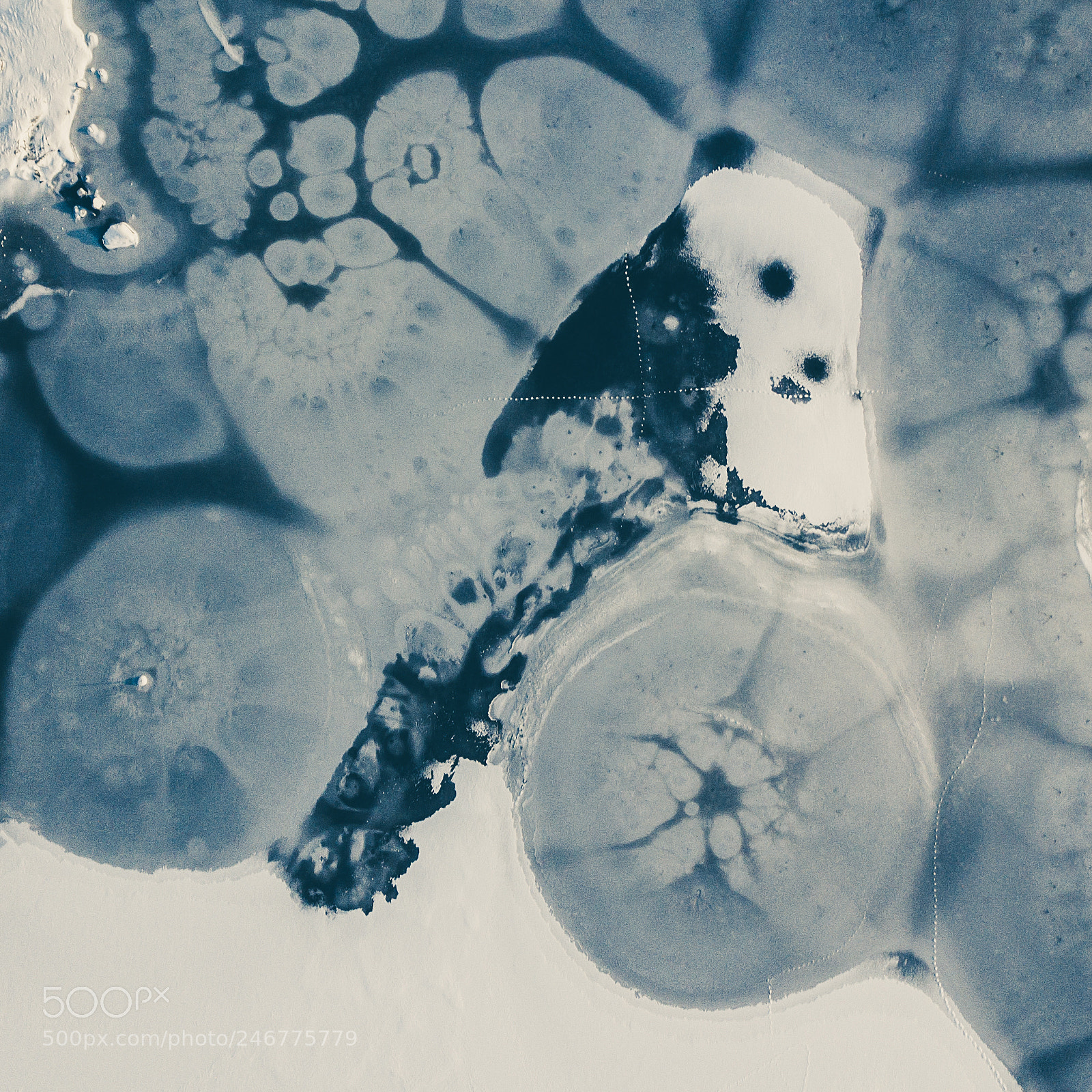 DJI FC220 sample photo. Frozen sea photography