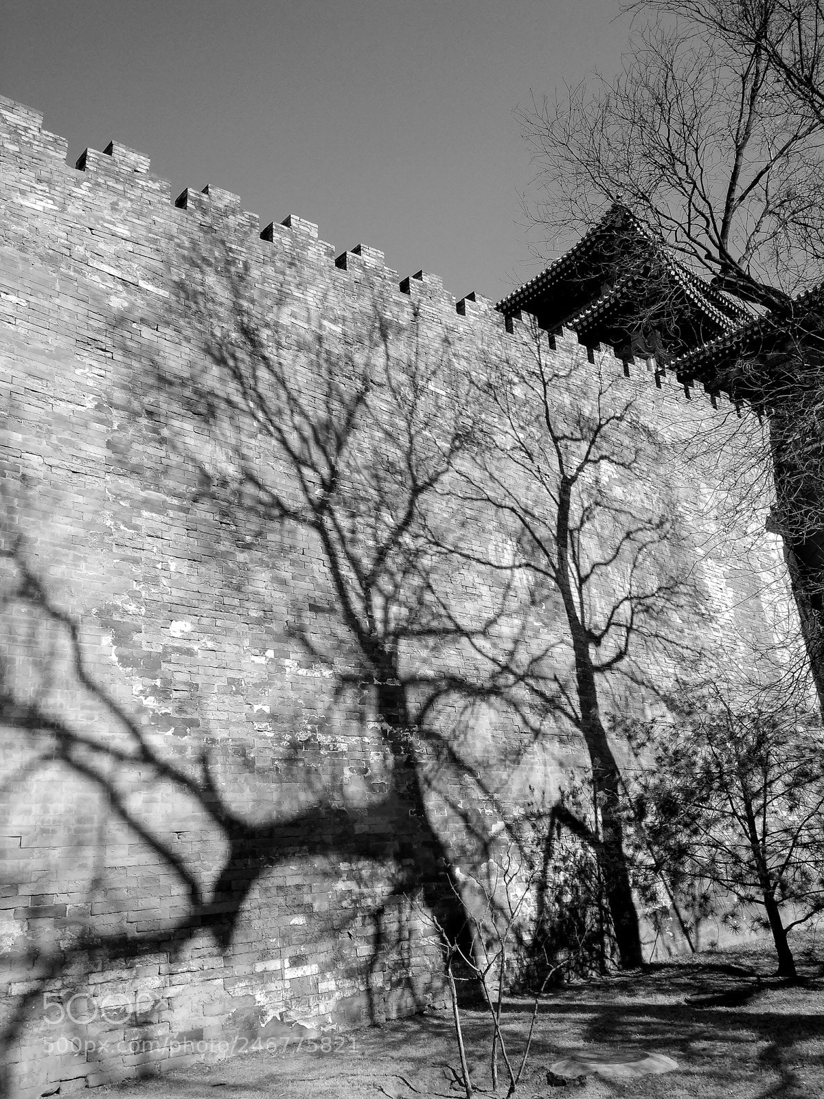 Xiaomi Redmi 4 Pro sample photo. Forbidden city wall photography