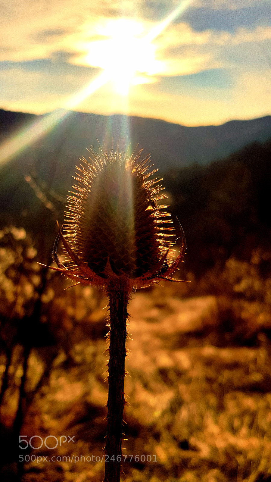 Samsung Galaxy S8 sample photo. Georgia racha photography
