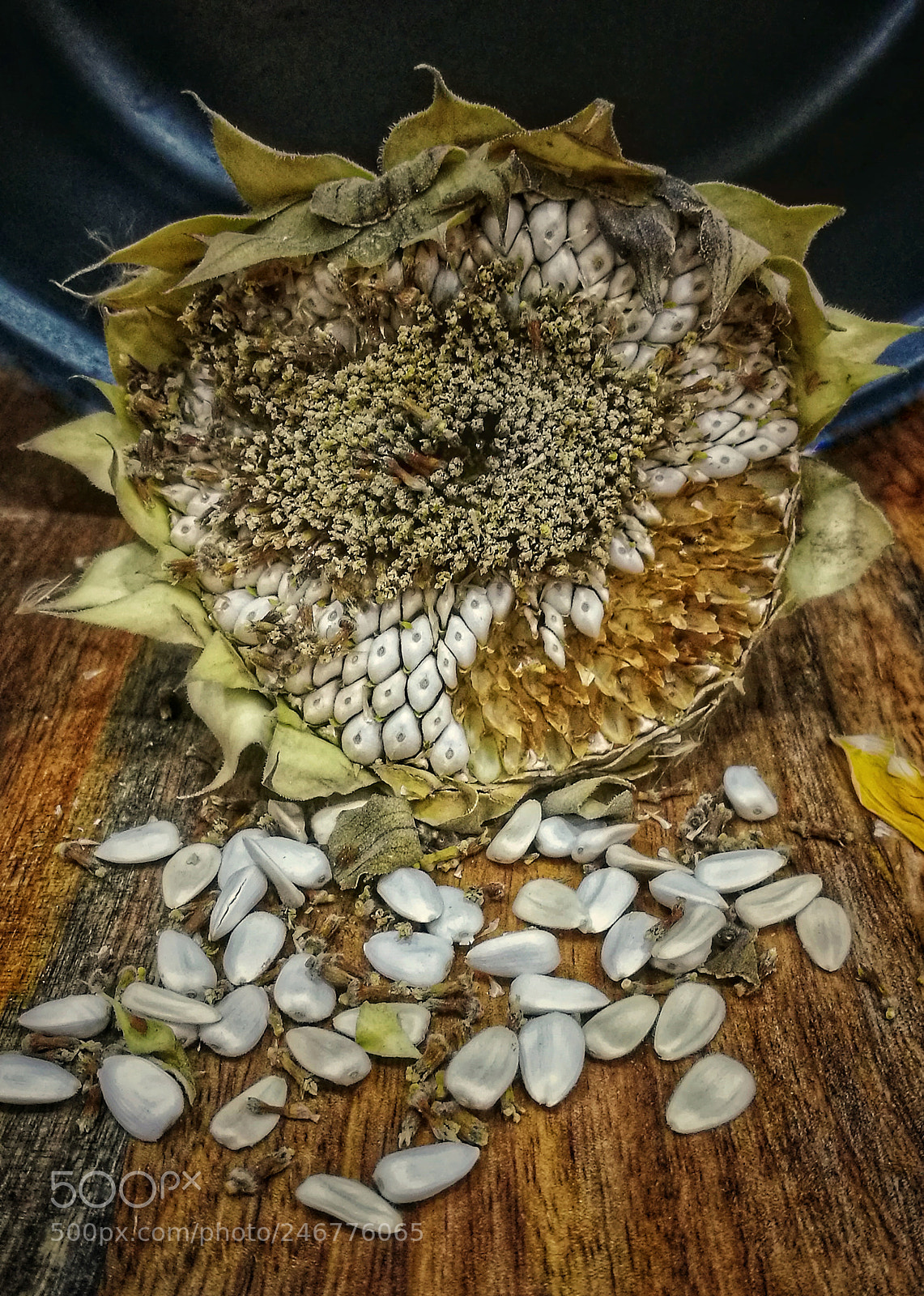 HUAWEI P9 sample photo. Still life photography