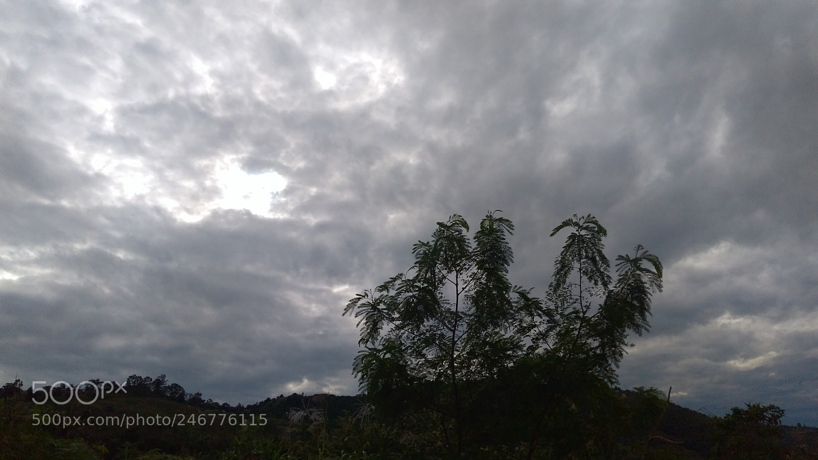 Motorola Moto G Play sample photo. Untitled photography