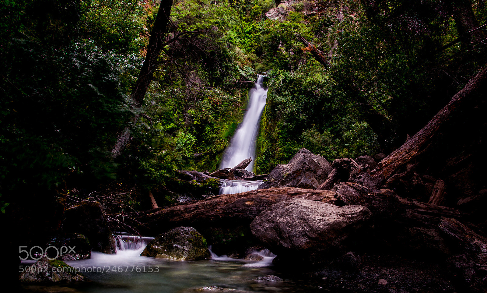 Nikon D610 sample photo. Alone photography