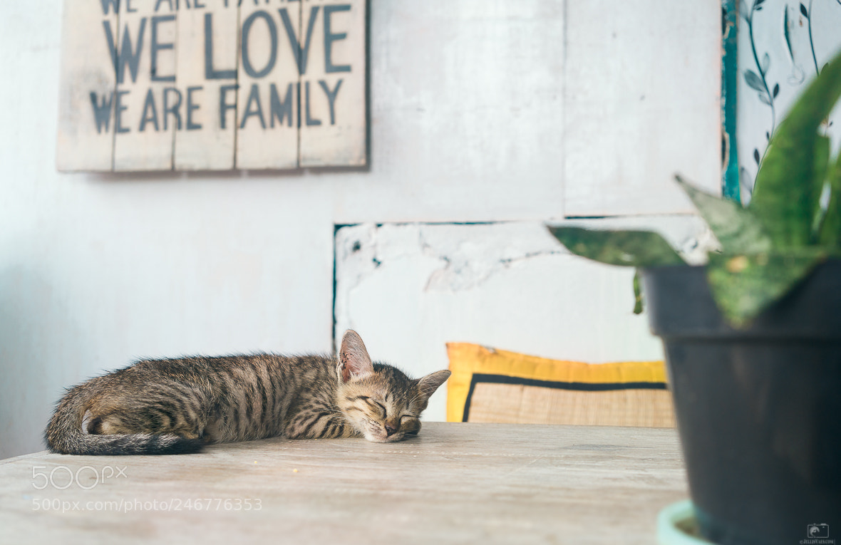 Sony a7R II sample photo. Relax & unwind photography