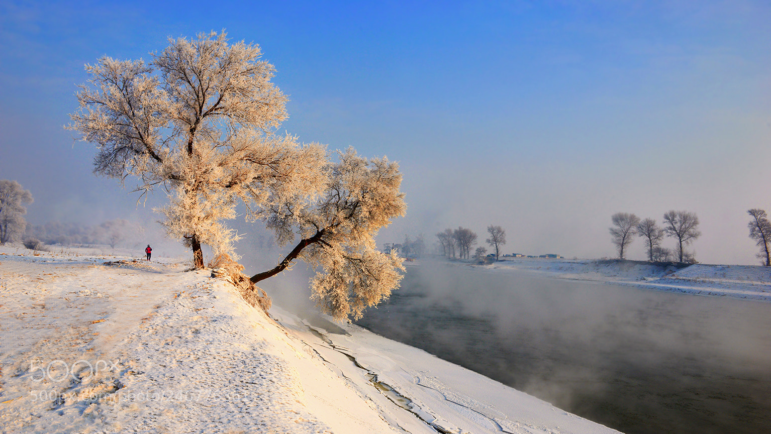 Nikon D800E sample photo. 雾凇岛的晨光 photography