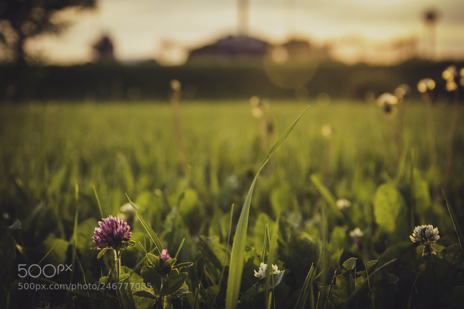 Canon EOS 60D sample photo. Untitled photography
