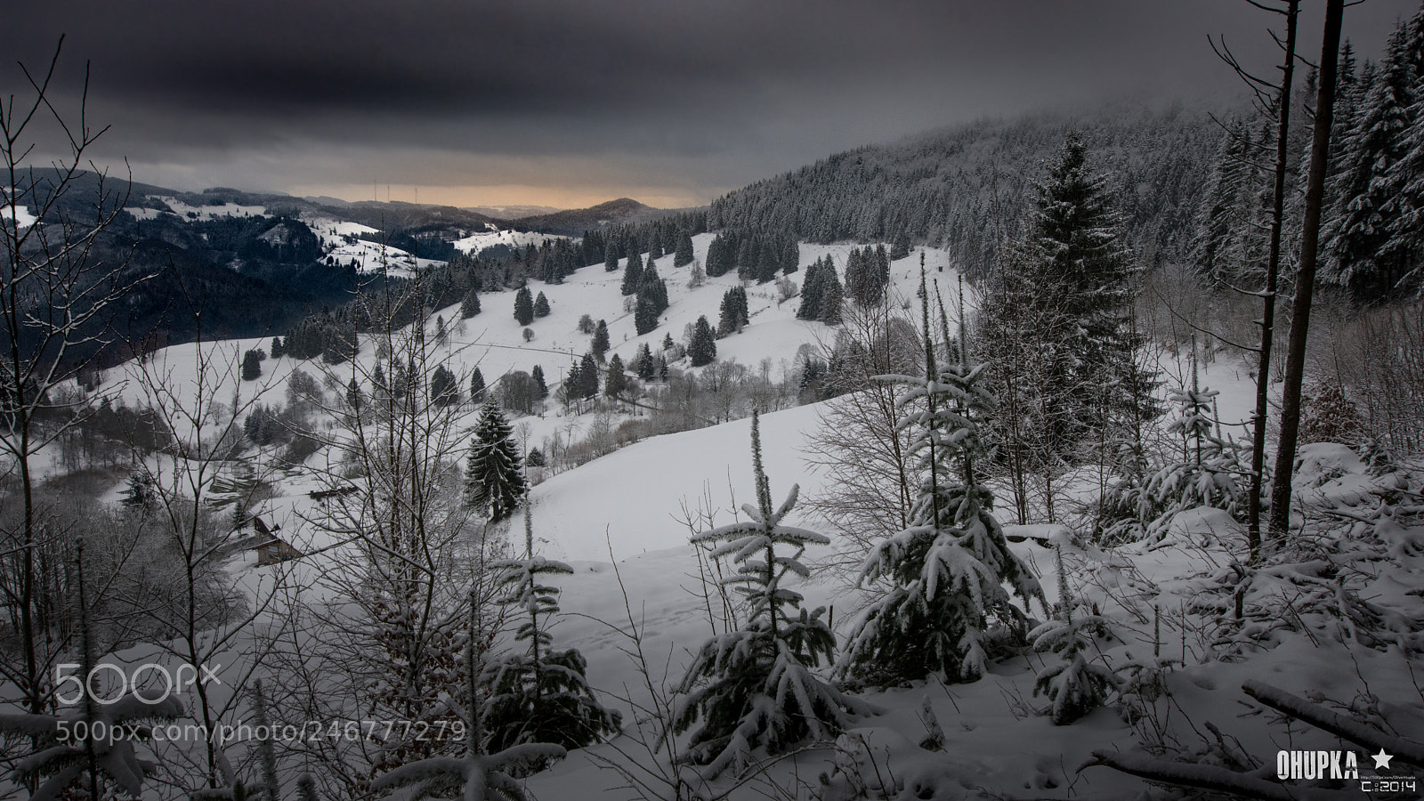Nikon D7200 sample photo. Black forest photography