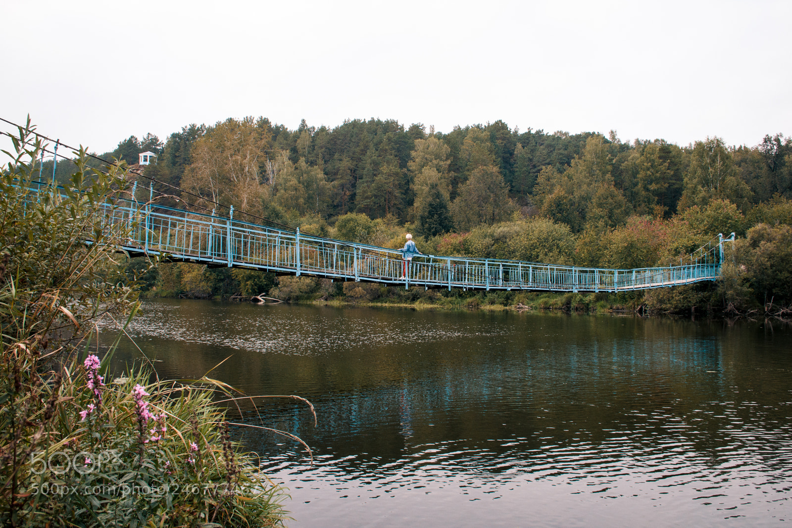 Canon EOS 600D (Rebel EOS T3i / EOS Kiss X5) sample photo. Autumn walk / Осенняя прогулка photography
