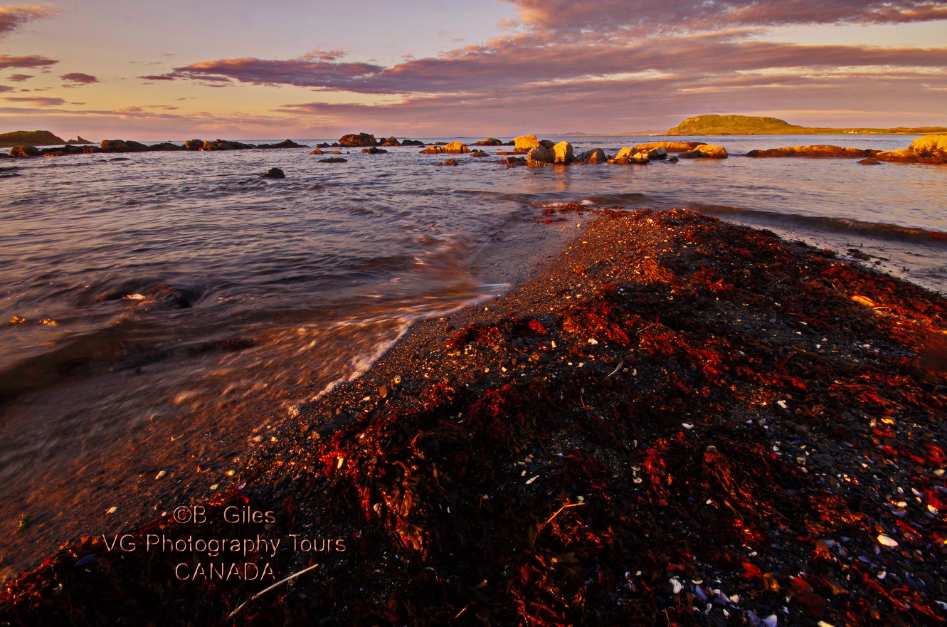 Sigma AF 10-20mm F4-5.6 EX DC sample photo. Northern tip of newfoundland photography