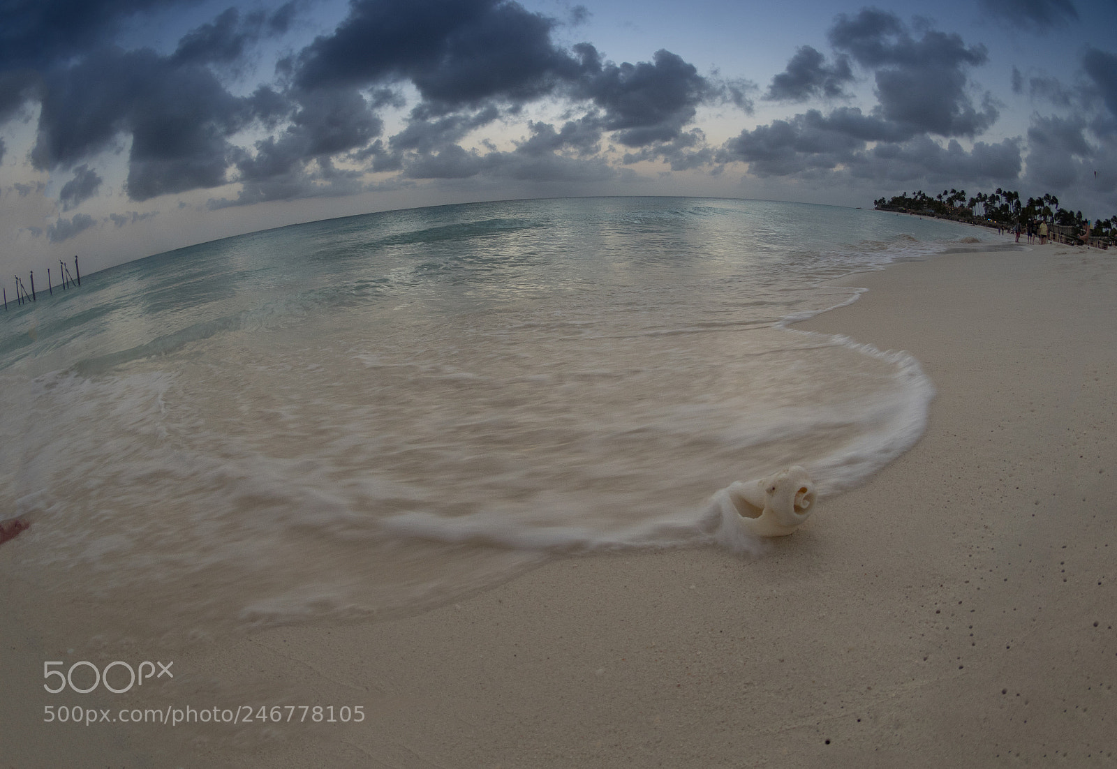 Olympus OM-D E-M1 sample photo. Bhp_scenic_aruba_20160305_3816.jpg photography