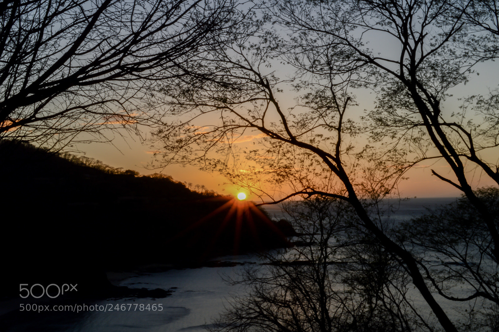 Nikon D3200 sample photo. Suntrees photography