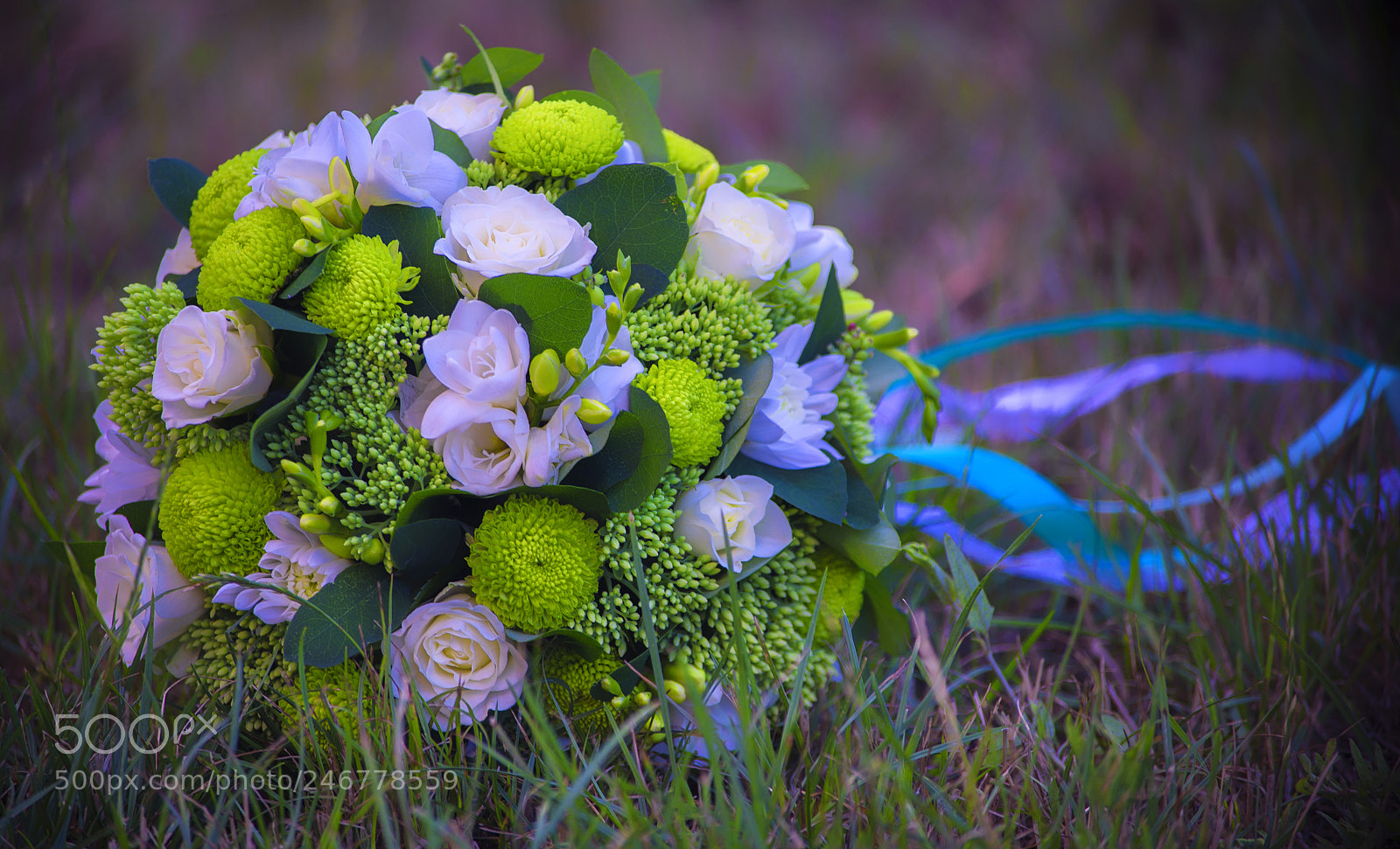 Nikon D610 sample photo. White roses are tied photography