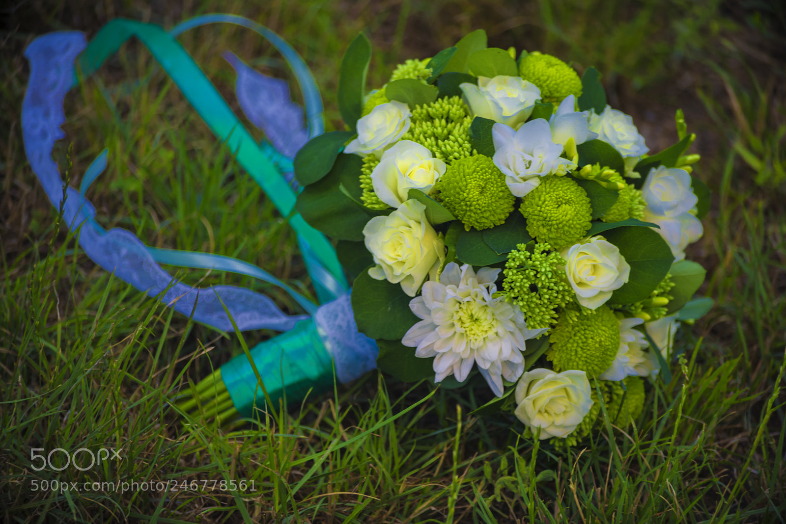 Nikon D610 sample photo. White chrysanthemums and other photography