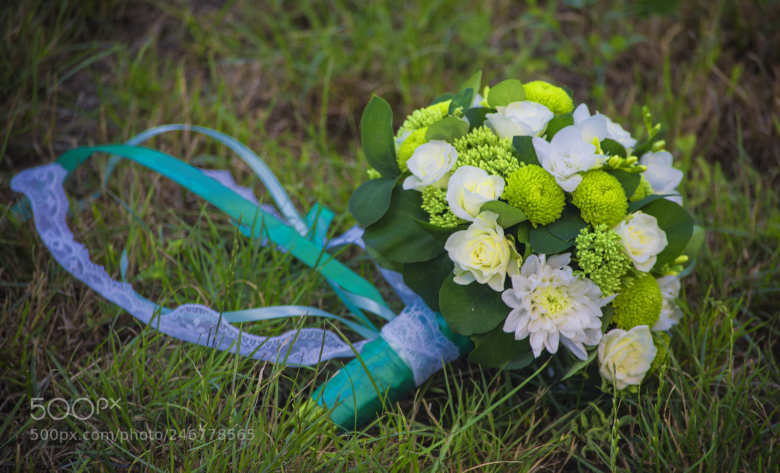 Nikon D610 sample photo. White flowers in a photography