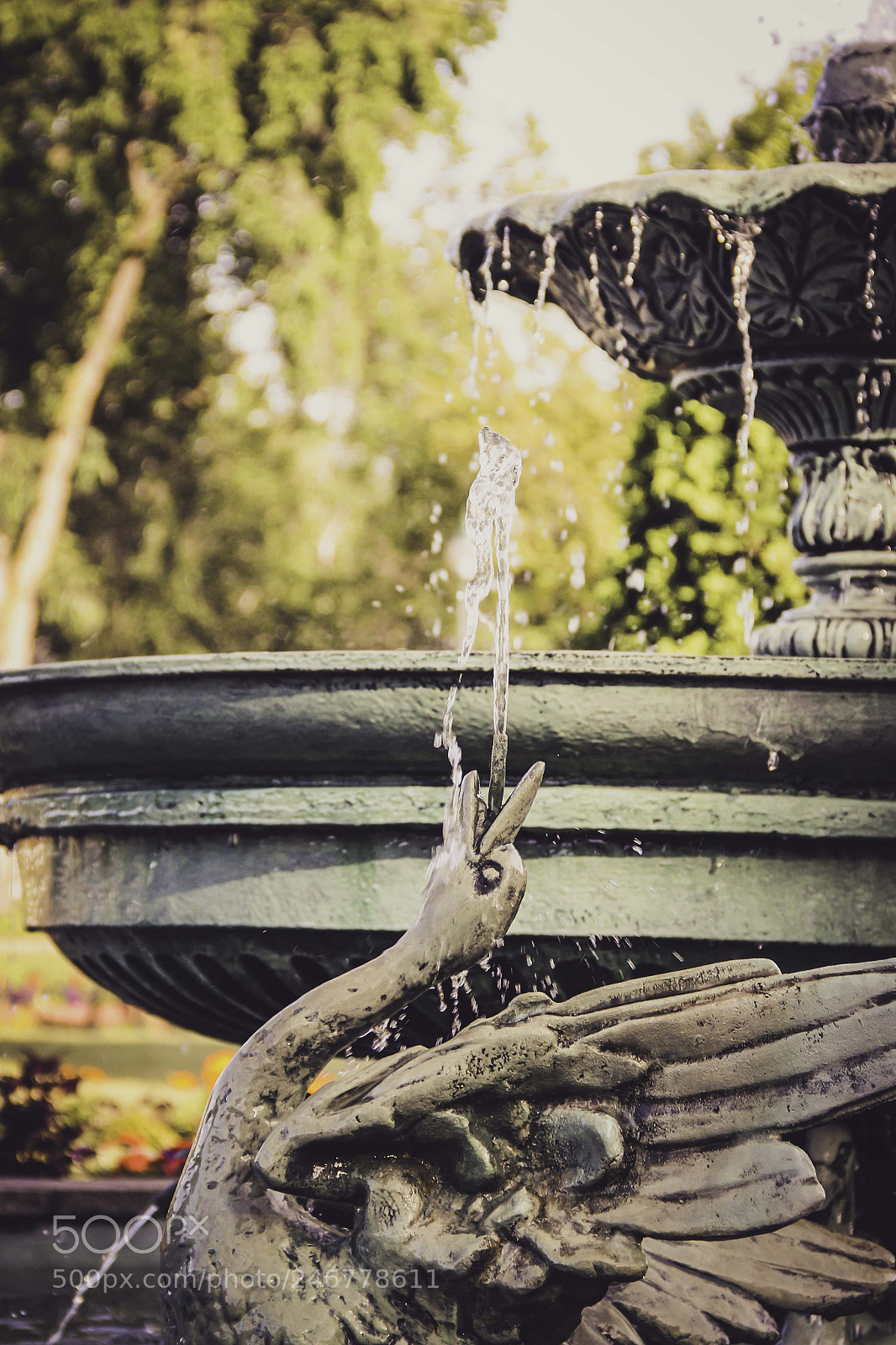 Canon EOS 60D sample photo. Untitled photography